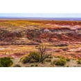 thumbnail image 2 of Perry, William 14x11 Gold Ornate Wood Framed with Double Matting Museum Art Print Titled - Tawa Point-Painted Desert-Petrified Forest National Park-Arizona, 2 of 4