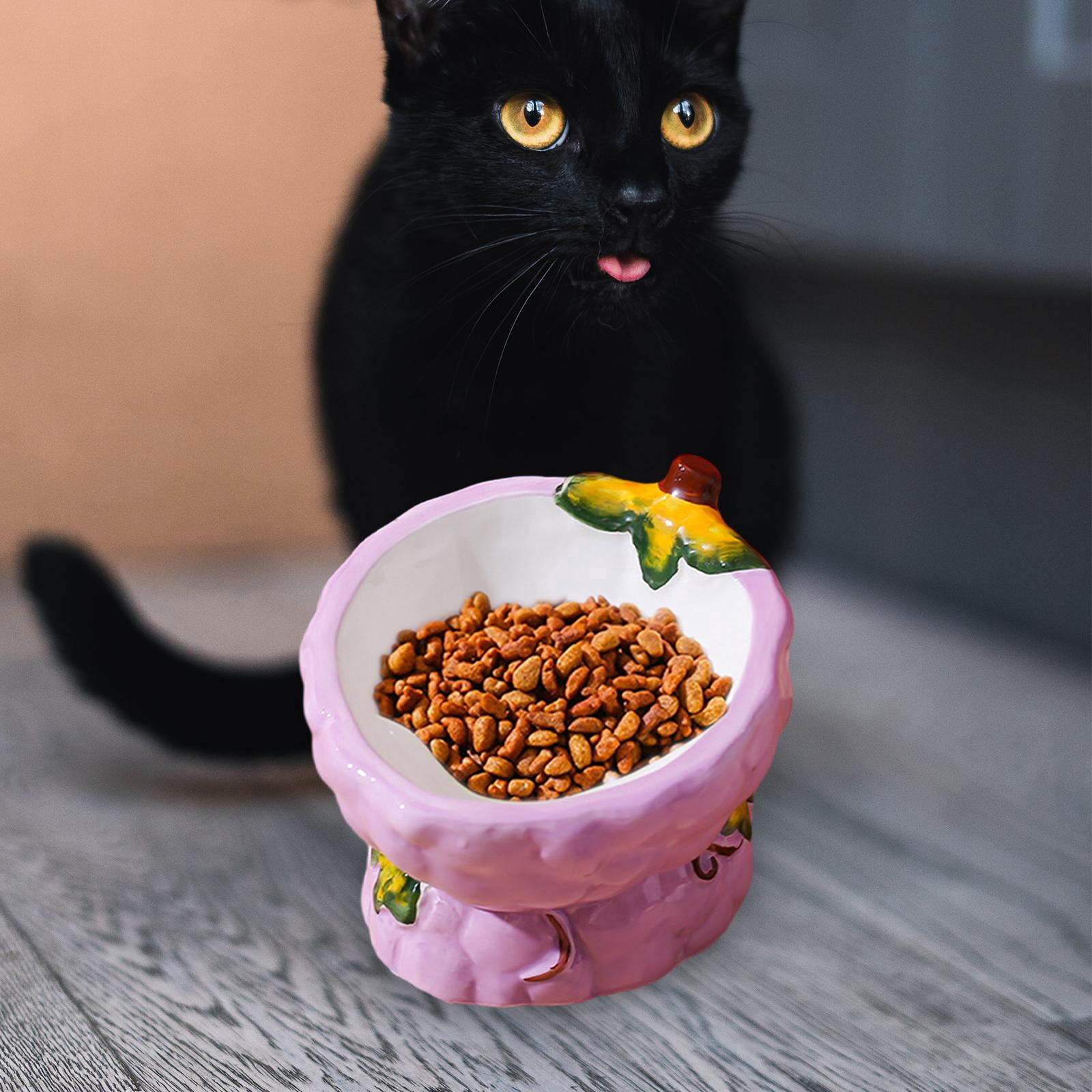 TOOYFUL Elevated Cat Bowls,Ceramic Bowls Stand for Food and Water,Dish for Cats and Puppy Indoor Non-Slip,Raised Pet Bowl Dishes,Grape Shape