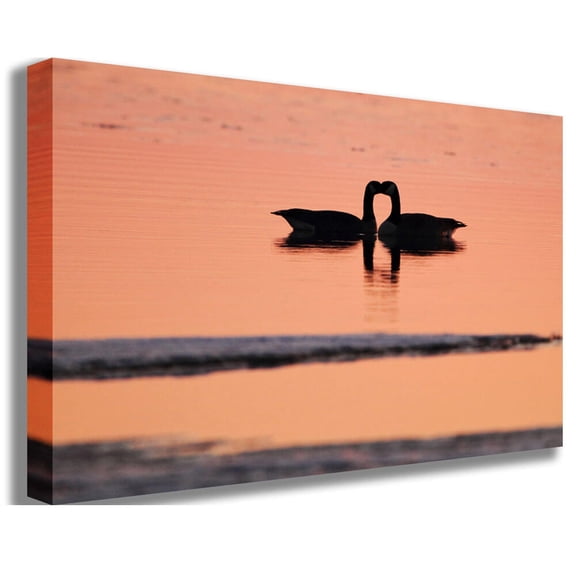 Boer "Goose Love" Canvas Print
