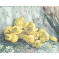 thumbnail image 2 of Stellar Design Studio 14x12 White Modern Wood Framed Museum Art Print Titled - Pile of Pears, 2 of 4