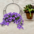 thumbnail image 4 of BESTYASH Estructura Para Colgar Plantas Con Metálico Negro Forma Lunar Para Suculentas Decorativas, 4 of 8