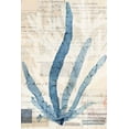 thumbnail image 2 of Vision Studio 13x18 White Modern Wood Framed Museum Art Print Titled - Seaweed Arrangement II, 2 of 4
