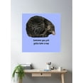 thumbnail image 2 of Take A Nap (Kitty) Poster Wall Art, Modern Wall Decor, 30x30 UNFRAMED, 2 of 3
