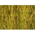 thumbnail image 1 of Ahgly Company Machine Washable Indoor Rectangle Oriental Yellow Modern Area Rugs, 7' x 10', 1 of 4