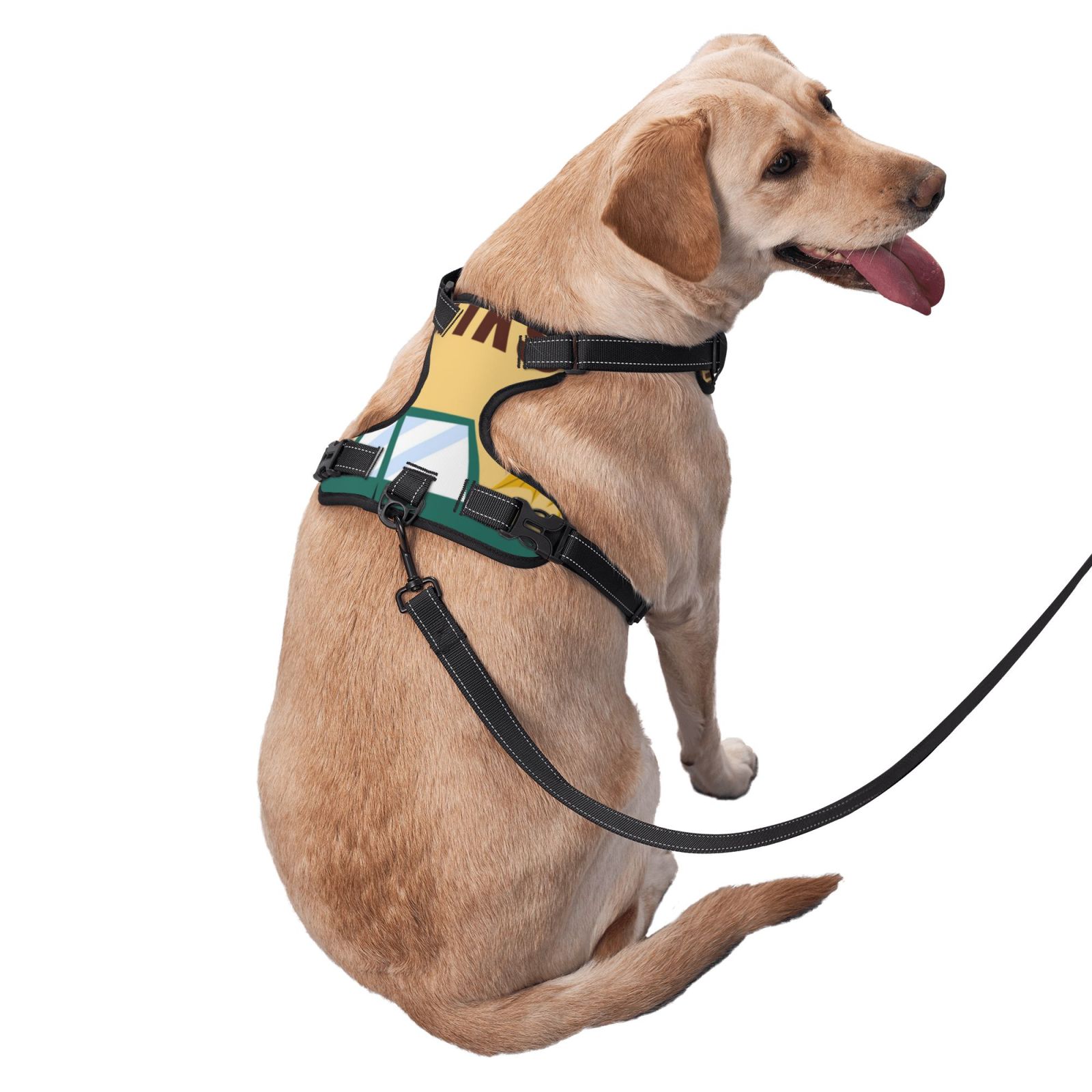 Vsdgher Happy Thanksgiving Day Dog Harness, No-Pull Pet Harness, Dog Vest, Pet Vest for Small to Large Dogs-Small