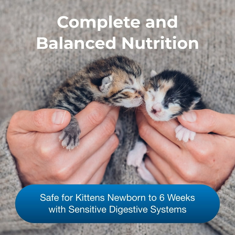Goat milk for newborn kittens sale
