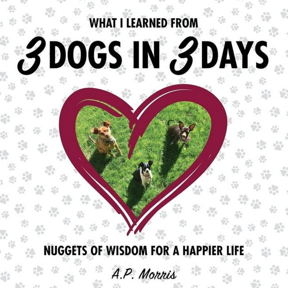 What I Learned from 3 Dogs in 3 Days: Nuggets of Wisdom for a Happier Life, (Paperback)