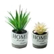 thumbnail image 1 of 2 uds simulación suculentas bonsái adornos creativos plantas artificiales en maceta flores falsas plantas verdes, 1 of 6