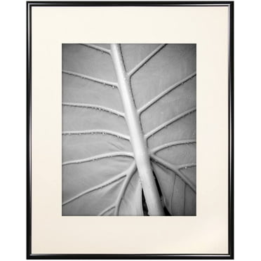 MCS 11x14 Inch Gallery Aluminum Frame with 8x10 Inch Mat Opening, Black (44143)