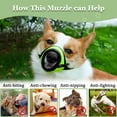 thumbnail image 4 of Bozal para perro, bozal de malla suave para perros pequeños, medianos y grandes, chihuahuas, caniches, beagles, teckels, corgis y labradores. Bozal para cachorros que permite morder, masticar y, 4 of 7