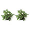 thumbnail image 2 of Decoraciones para Peceras sweethay Plantas de Agua de Plástico Decoración Subacuática CBP068685, 2 of 5