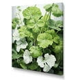 thumbnail image 2 of Designart "White And Green Geraniums In Minimalism I" Geraniums Wall Art Living Room, 2 of 7