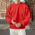 thumbnail image 2 of Men's Lined Crewneck Sweatshirt Raglan Sleeve Relaxed Fit Solid Color Pullover Top For Athletic Casual Streetwear Oversized Pullover Long Sleeve Crewneck Casual Tops, 2 of 4