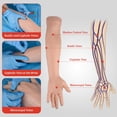 thumbnail image 3 of Kit práctico de flebotomía SimCoach para entrenamiento con inyecciones, 3 of 7