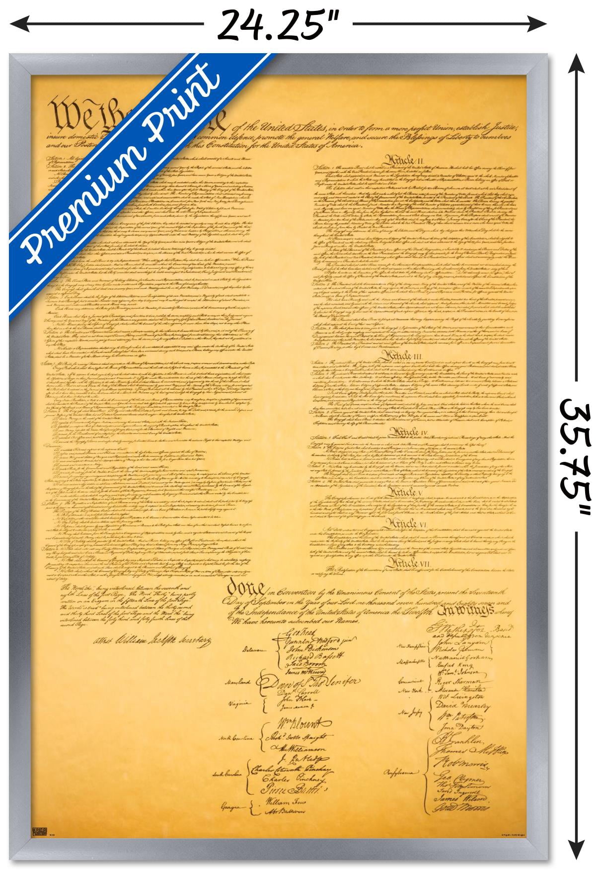 The Constitution Wall Poster, 22.375" x 34", Framed