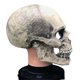 thumbnail image 1 of Máscara de látex para Halloween con calaveras con boca en movimiento, 1 of 2