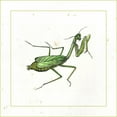 thumbnail image 3 of Vision Studio 20x20 Black Modern Framed Museum Art Print Titled - Green Mantis, 3 of 5