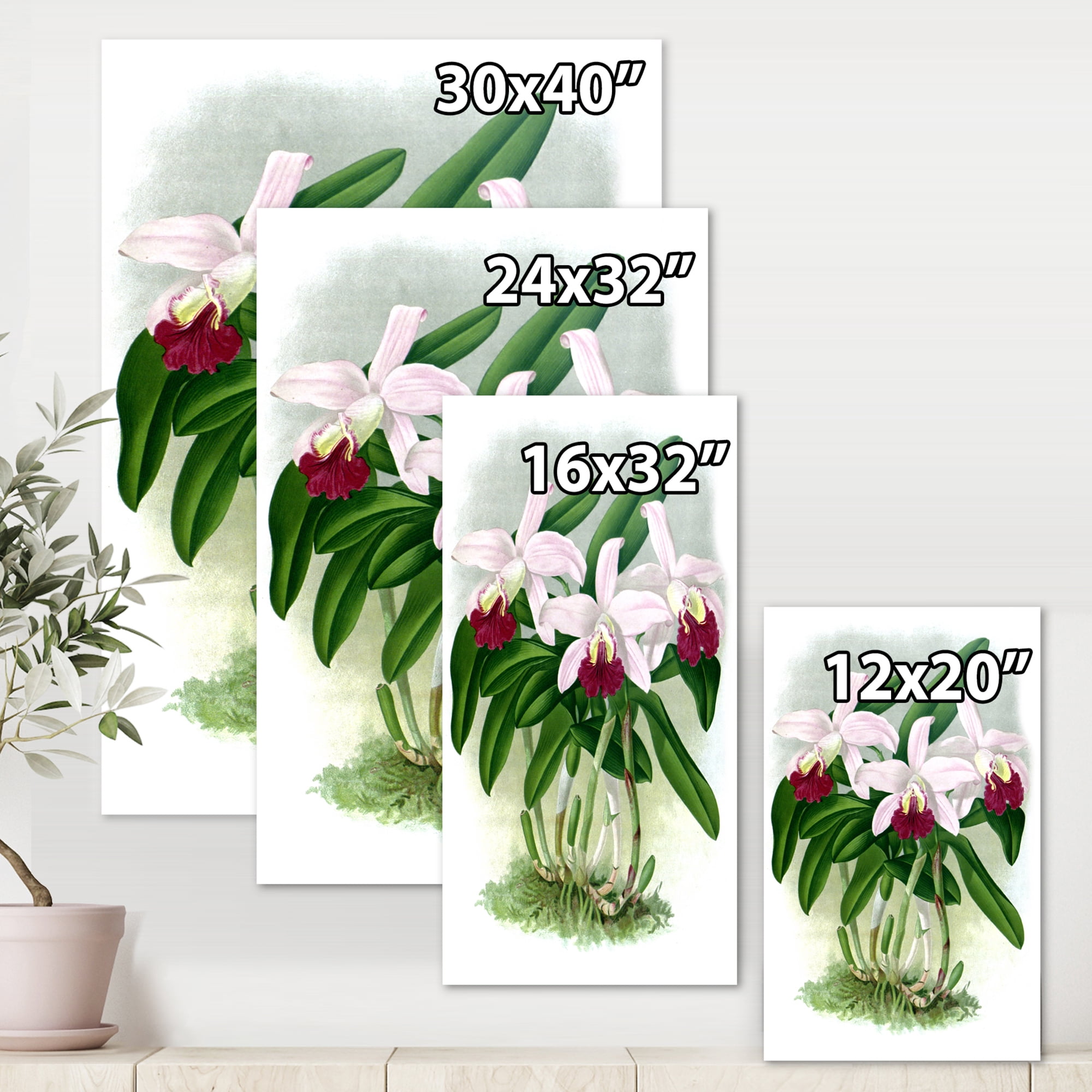Designart ' White Vintage Orchid Flower I ' Traditional Canvas Wall Art Print