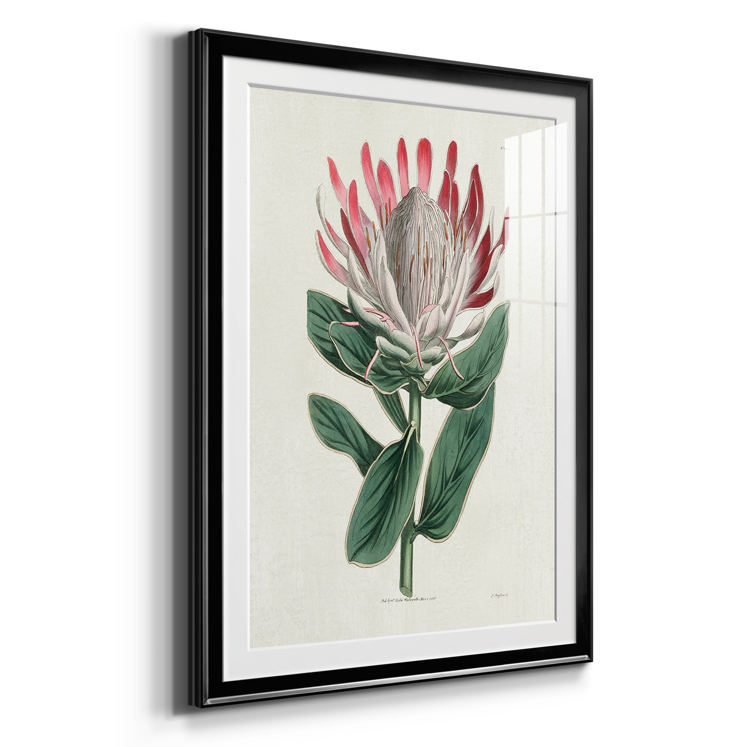 Protea N13 Premium Framed Prints Set of 3 - Ready to Hang - 26.5 x 36.5 Each - Black Frame
