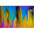 thumbnail image 2 of Juzak, Peter 18x13 Gold Ornate Wood Framed with Double Matting Museum Art Print Titled - Paracetamol, 2 of 4