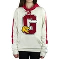 thumbnail image 2 of Harry Potter  Gryffindor G Patch Hoodie, 2 of 3