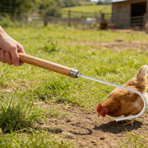 BESTYASH 3Ud Capturador De Pollos Con Gancho De Para Manejo Fácil Y En Corral