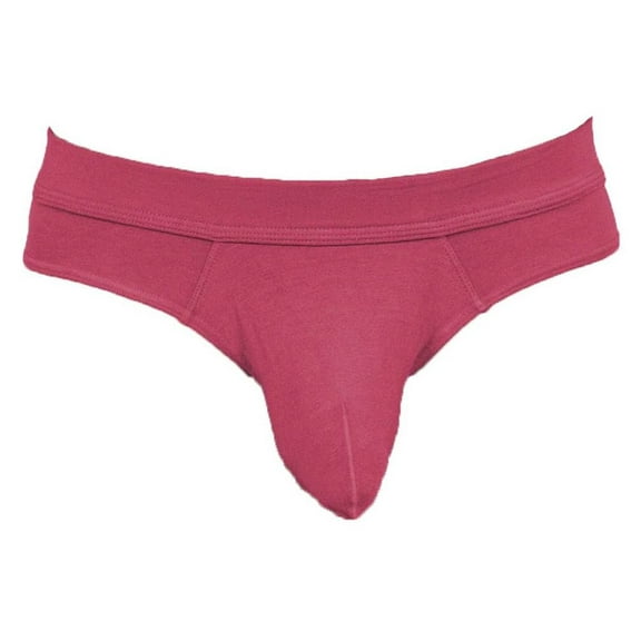 Obviously EliteMan Hipster Brief - Brick Red