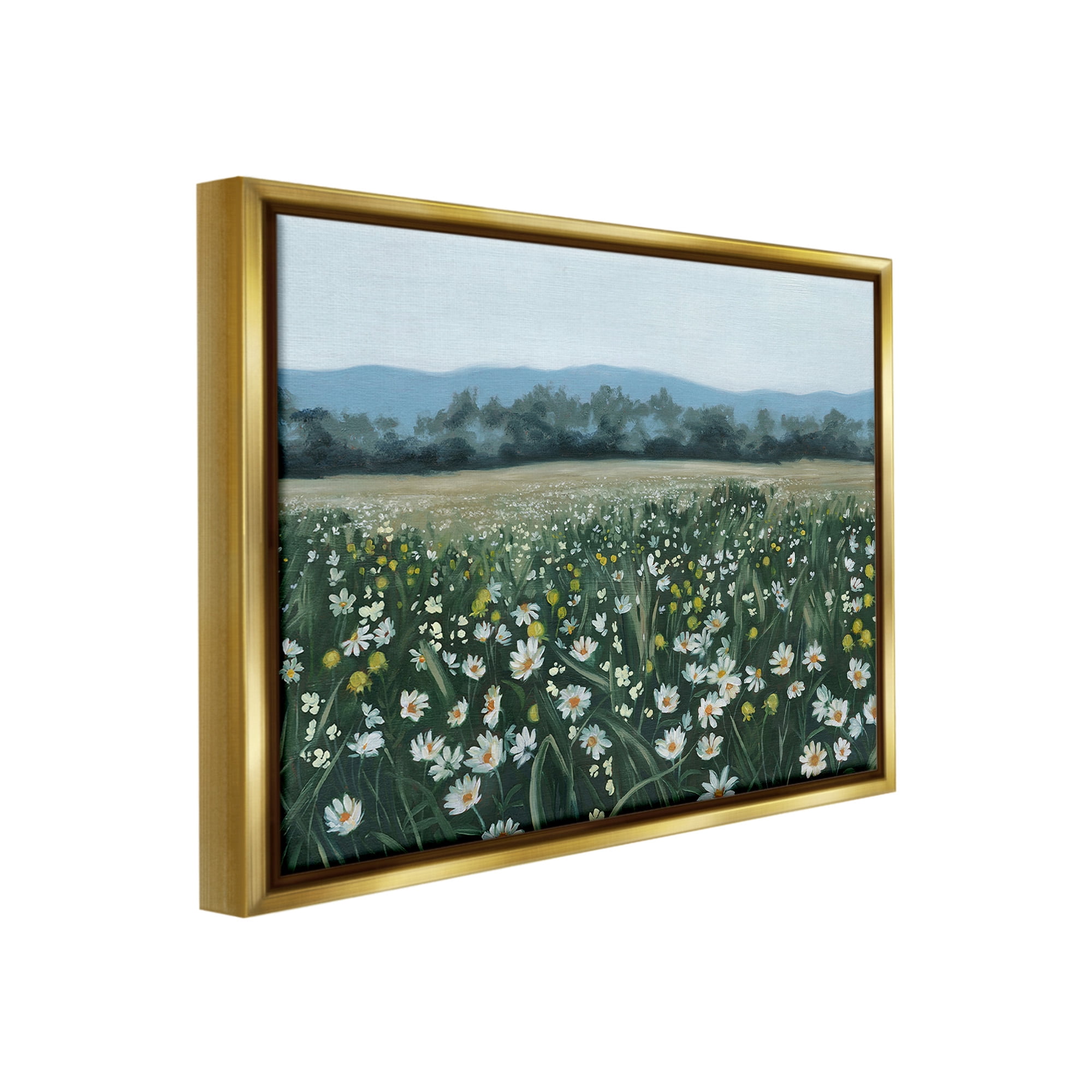 Stupell Industries Traditional Daisy Meadow Landscape Painting Gold Floater Framed Canvas Art Print Wall Art, 21 x 17