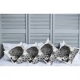 thumbnail image 2 of Ambesonne Cartoon Throw Pillow Cover 4 Pack, Teddy Bear Love, 16", Charcoal Grey White, 2 of 7