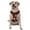 Without Accessories, variant on Vsdgher Fire Extinguisher Pattern Dog Harness,No Pull Pet Harness with Soft Padded Handle,Adjustable Reflective Vest with 2 Buckles,4 Slide Buckles,S-XL Large