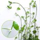 thumbnail image 2 of 100 clips autoadhesivos para plantas de 3,5 x 2,5 x 1,4 cm, clip de alambre para plantas para organización de cables de plantas, 2 of 5