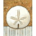 thumbnail image 2 of K. Bates 28x34 Gallery Wrapped Canvas Wall Art Titled - Vintage Shell IV, 2 of 4