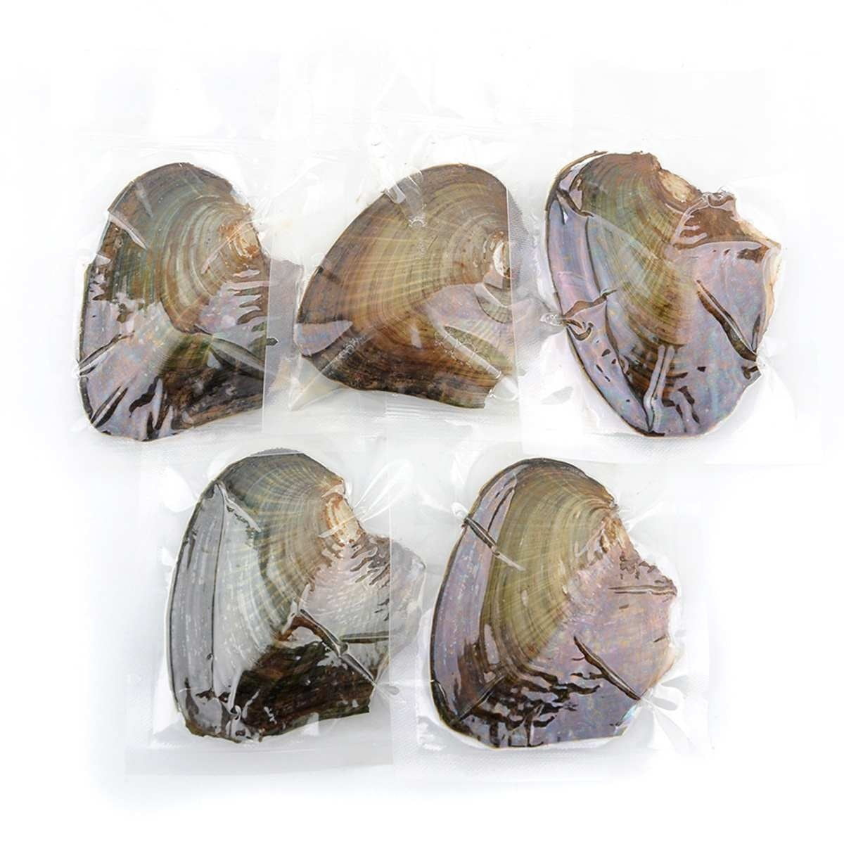 10PCS Individually Fresh Water Wrapped Akoya Oysters With Large Pearls 7-8MM 