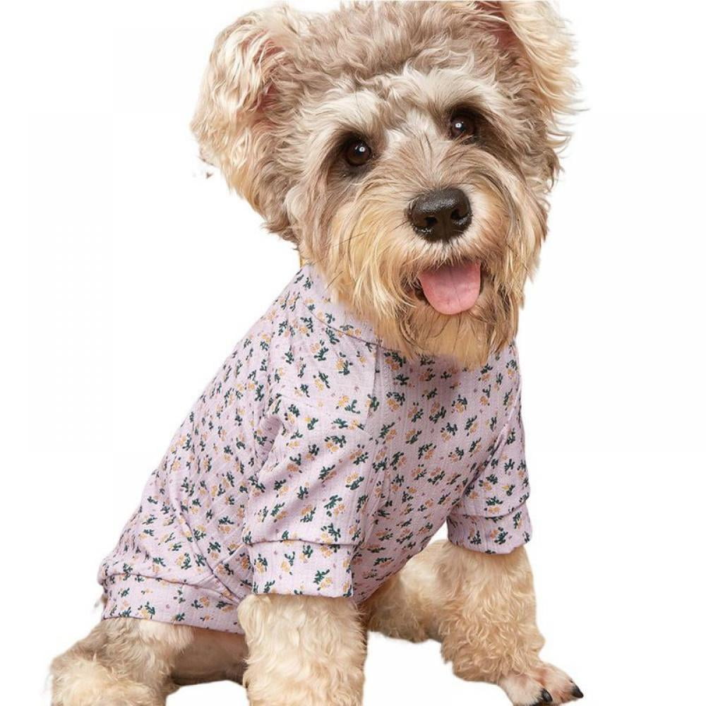 Why Dogs Should Not Wear Clothes