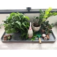 thumbnail image 3 of Biodegradable Peat Pots for seedlings, 100 Pack Plant Seed Starter Pots Kit, 2.4inch Succulent Planter Nursery Pots with 10 Plant Markers, Garden Germination Kits, 3 of 6