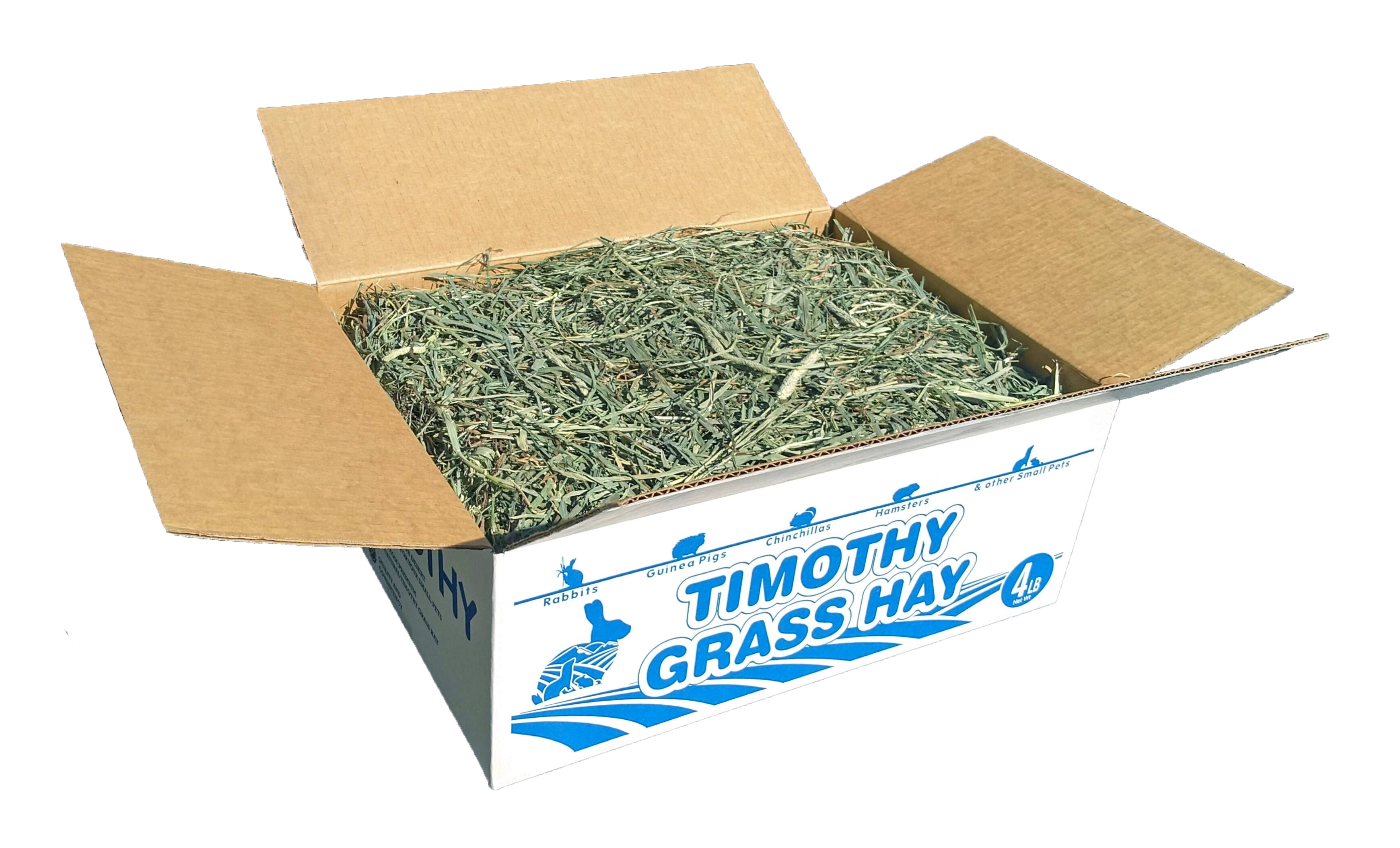 2nd Cut Timothy Grass Hay for small animal pets by High Desert Small