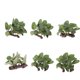 thumbnail image 1 of 6 X Plantas de Césped Artificial de Agua de Resina de Dragón , Decoración de Hábitat de Hojas de para Escalar, Camaleón,, 1 of 10