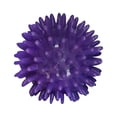 thumbnail image 1 of Pelotas de masaje con púas Pelota de ejercicio Rodillos de masaje con púas Pelota de masaje para manos y pies Púrpura, 1 of 6