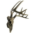 thumbnail image 2 of Atlantic Collectibles 10 Point Buck Head Skull Wall Mounted Hanging Plaque Figurine 18.5"L, 2 of 4