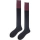 thumbnail image 1 of Calcetines de tubo fino para mujer Medias altas hasta el muslo Calcetines por encima de la rodilla Medias casuales hasta la rodilla Medias altas hasta el muslo, 1 of 5