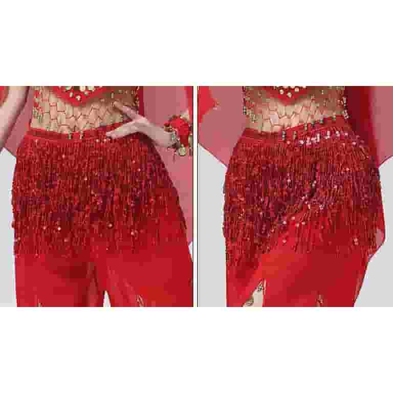 Kaerm Womens Belly Dance Outfit Sequined Long Sleeve Chiffon Tops With Layered Skirt And Hip Scarf Light Blue M Kaerm Womens Belly Dance Outfit Sequined Long Sleeve Chiffon Tops With Layered Skirt And Hip Scarf Light Blue M