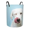 thumbnail image 2 of Kll Puppy Licks Nose Waterproof Foldable Laundry Hamper Bucket With Handles For Storage Bin,Kids Room,Home Organizer (Small), 2 of 8