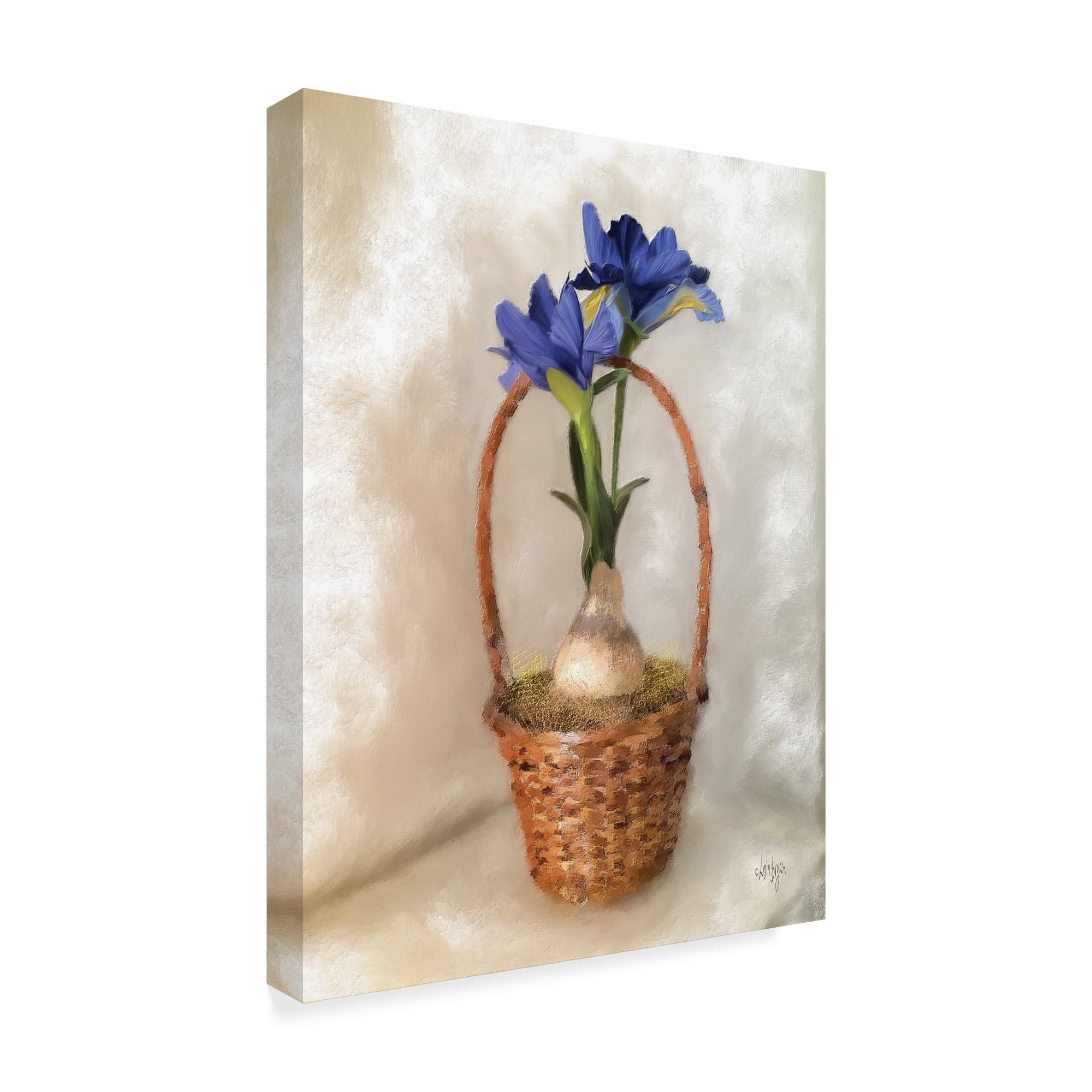 Trademark Fine Art 'Blue Dutch Iris' Canvas Art by Lois Bryan