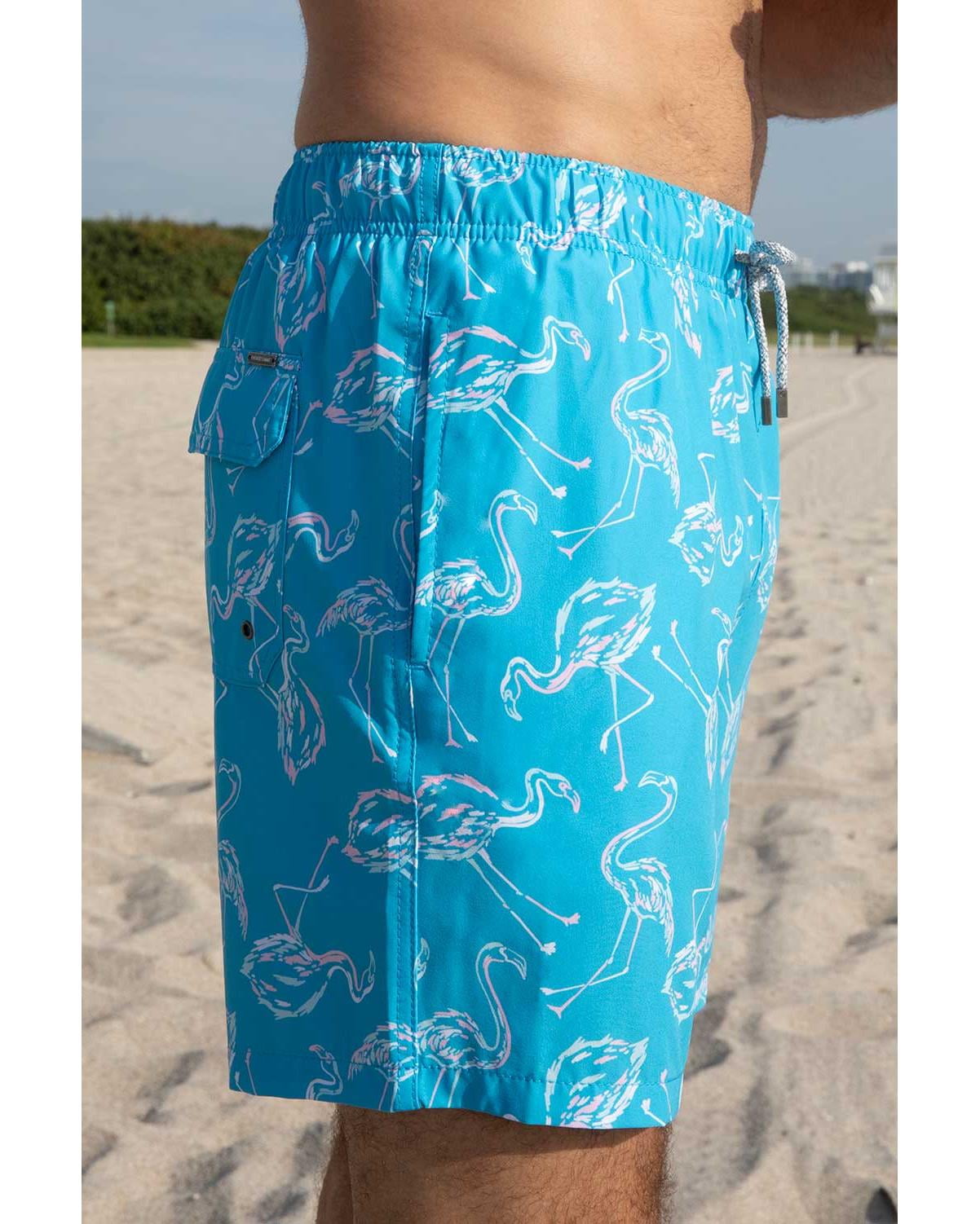 Boys Swim Shorts Dry Fast 4 Ways Stretch Swimming Trunks with Fun Designs, Flamingo Aqua, Size: 4, Endless Summer