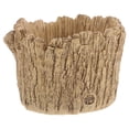 thumbnail image 1 of KALLORY Maceta Decorativa Para Suculentas Estilo Con Resina Resistente Color Beige, 1 of 7
