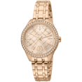 thumbnail image 1 of Ferre Milano Classique pour Femmes - FM1L116M0261, 1 of 1