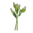 thumbnail image 3 of Melrose Set of 6 Poppy Pod Flower Artificial Bundles 9.5", 3 of 3