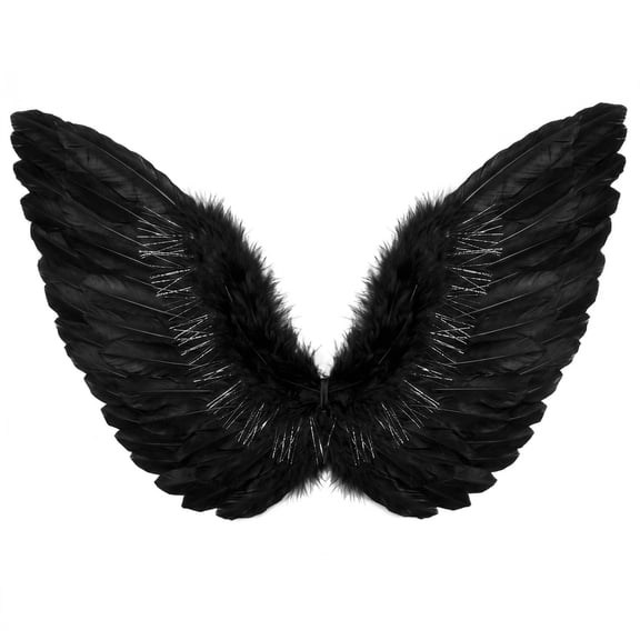 Angel Wings and Halo Costume Accessory for Adults, Black, 2 Pieces, Halloween by Way To Celebrate