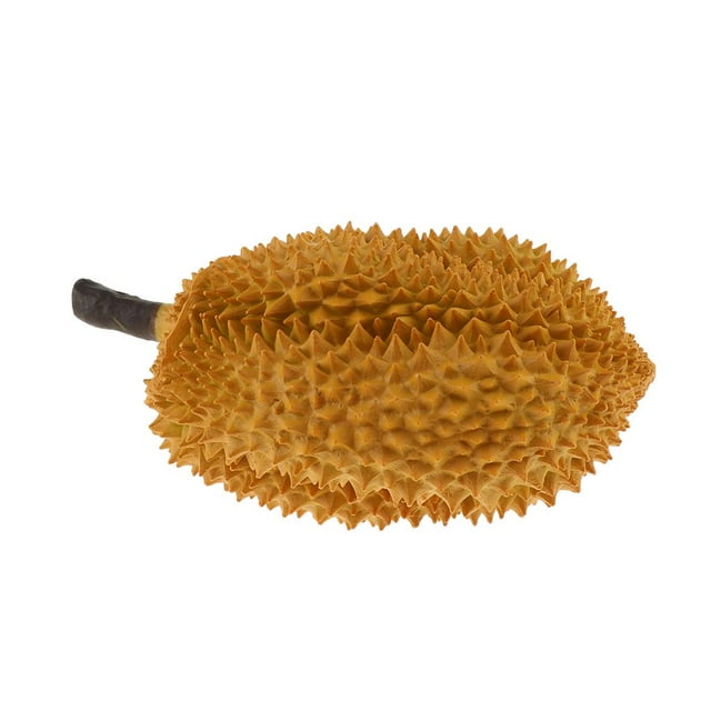 Fruits Artificiels Réalistes pour Cuisine à la Maison Faux Fruit Durian A A