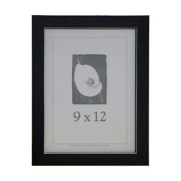 Frame USA Clean Cut Picture Frame 10.75W 4H